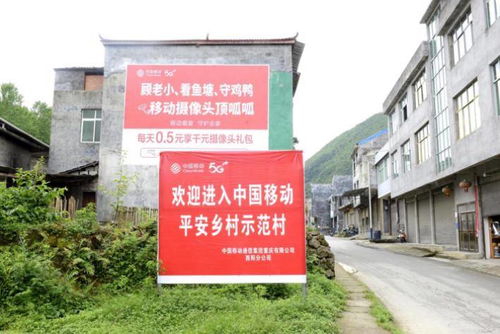 指尖上的美丽乡村 数字赋能让乡村生产生活大变样